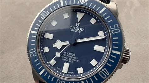 tudor mn21 vs mn22|tudor pelagos review.